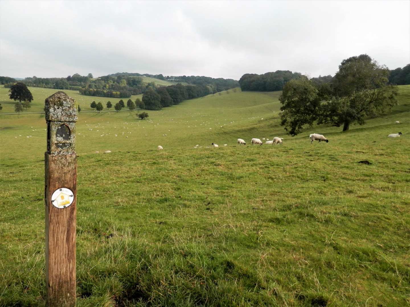 Cotswold Way - North Section